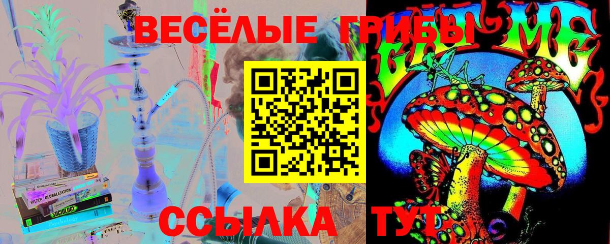 наркошоп  Псилоцибиновые грибы мицелий  Псилоцибиновые грибы мухоморы  Вход с VPN  Зима 